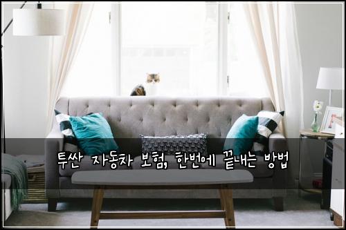 투싼 자동차 보험, 한번에 끝내는 방법