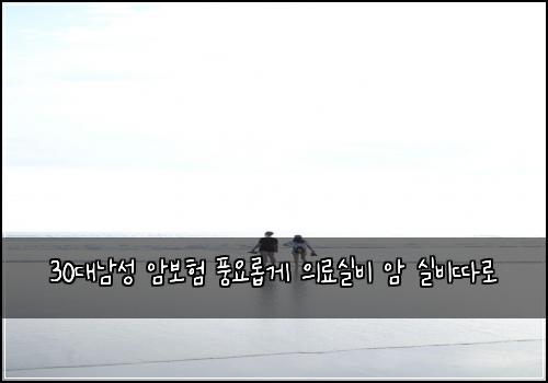 30대남성 암보험 풍요롭게  의료실비 암 실비따로