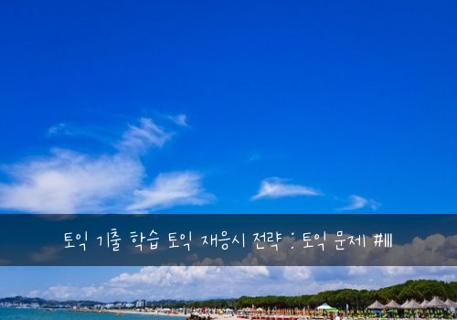 토익 기출 학습 토익 재응시 전략 : 토익 문제 #111