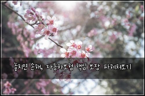  놓치면 손해, 자동차보험 핵심 보장 파헤쳐보기