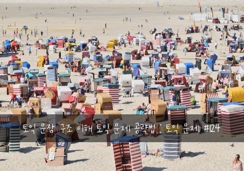 토익 문장 구조 이해 토익 문제 공략법 : 토익 문제 #124