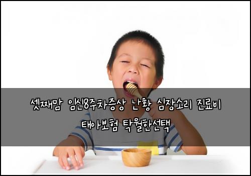 셋째맘 임신8주차증상 난황 심장소리 진료비 태아보험 탁월한선택 