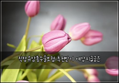 ์ง์ฅ์ ์์ข
์์ ๋ณดํ ์ถ์ฒ๋ฐ๊ธฐ ์์์ง๊ธ๊ธ์