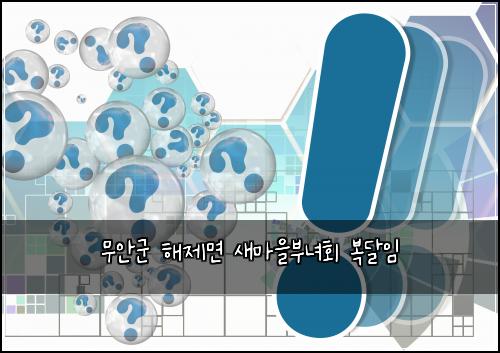 무안군 해제면 새마을부녀회 복달임
