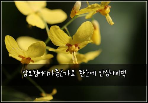 ์๋ณดํ์ด๋๊ฐ์ข์๊ฐ์ ํ๋์ ์์ฌ๋๋น์ฑ