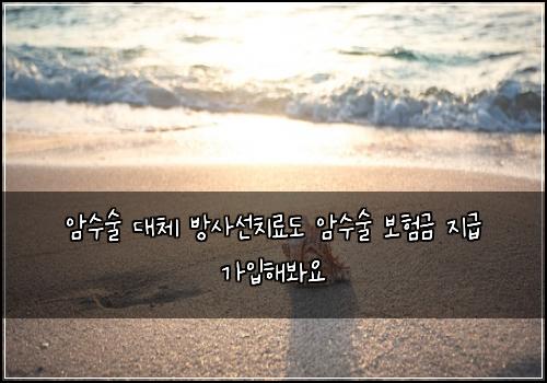 ์์์ ๋์ฒด ๋ฐฉ์ฌ์ ์น๋ฃ๋ ์์์ ๋ณดํ๊ธ ์ง๊ธ ๊ฐ์
ํด๋ด์