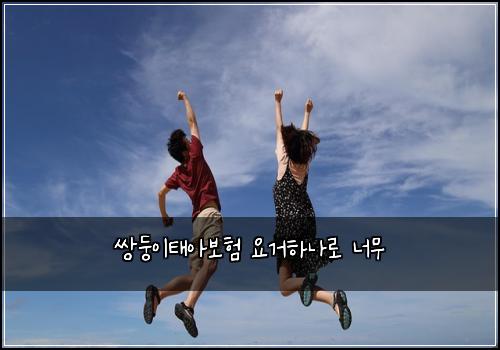 쌍둥이태아보험 요거하나로  너무