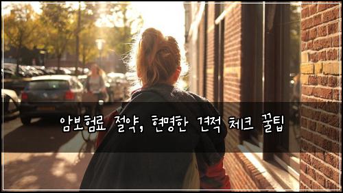 암보험료 절약, 현명한 견적 체크 꿀팁