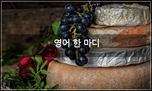 오늘의 이미지