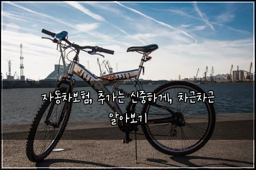  자동차보험, 추가는 신중하게, 차근차근 알아보기