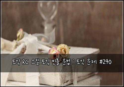 토익 RC 스킬 토익 빈출 문법 : 토익 문제 #240