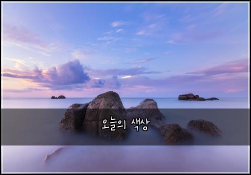 오늘의 색상