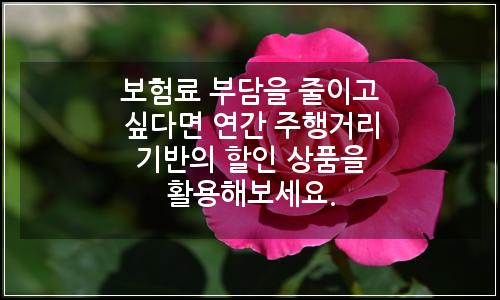 오늘의 이미지