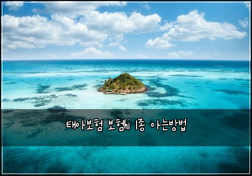 태아보험 보험hi 1종 아는방법