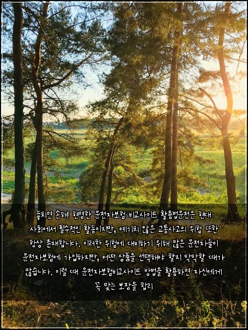  놓치면 손해! 현명한 운전자보험 비교사이트 활용법

운전은 현대 사회에서 필수적인 활동이지만, 예기치 않은 교통사고의 위험 또한 항상 존재합니다. 이러한 위험에 대비하기 위해 많은 운전자들이 운전자보험에 가입하지만, 어떤 상품을 선택해야 할지 막막할 때가 많습니다. 이럴 때 운전자보험비교사이트 방법을 활용하면 자신에게 꼭 맞는 보장을 합리