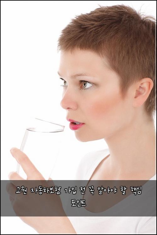 교원 자동차보험: 가입 전 꼭 알아야 할 핵심 포인트