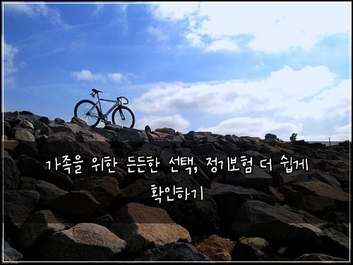  가족을 위한 든든한 선택, 정기보험 더 쉽게 확인하기