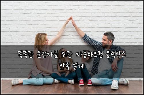  똑똑한 운전자를 위한 자동차보험 블랙박스 만족 설계