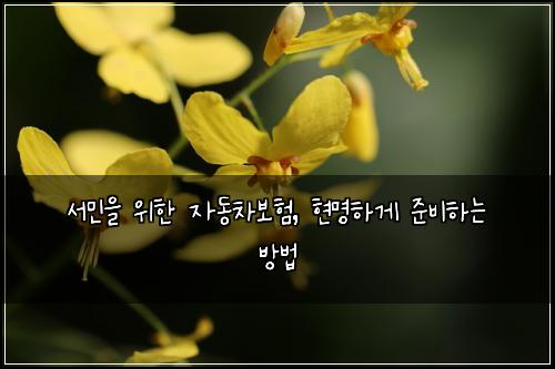 서민을 위한 자동차보험, 현명하게 준비하는 방법
