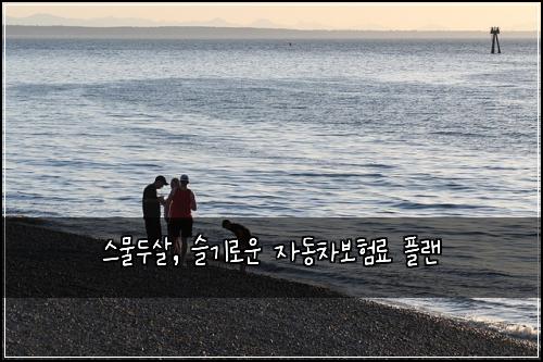  스물두살, 슬기로운 자동차보험료 플랜