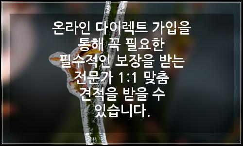 오늘의 이미지