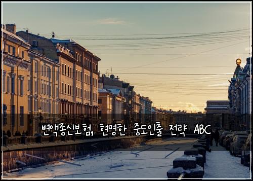  변액종신보험, 현명한 중도인출 전략 ABC