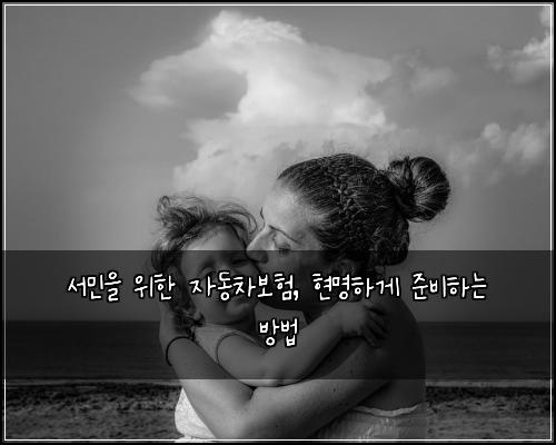 서민을 위한 자동차보험, 현명하게 준비하는 방법