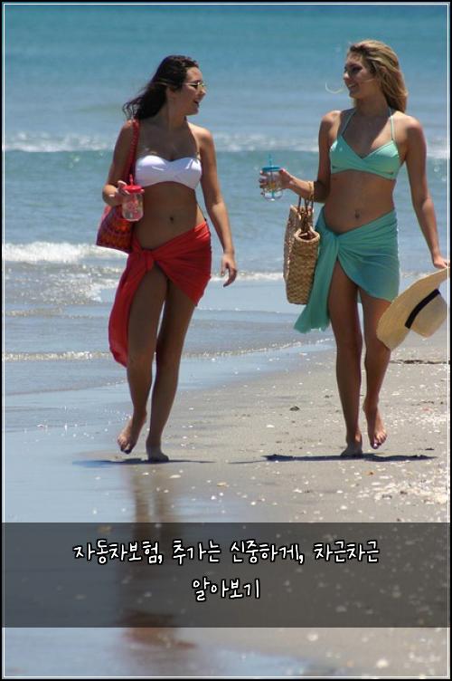  자동차보험, 추가는 신중하게, 차근차근 알아보기