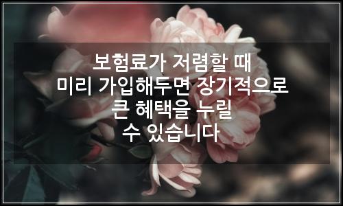 오늘의 이미지