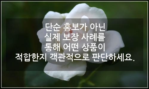 오늘의 이미지
