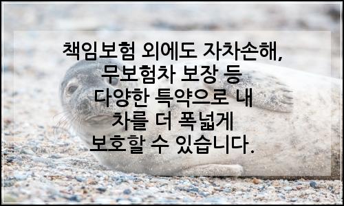 오늘의 이미지