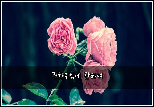 권한위임에 관하여