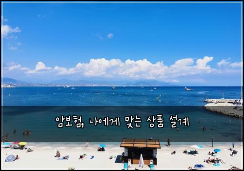 암보험, 나에게 맞는 상품 설계