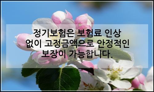 오늘의 이미지