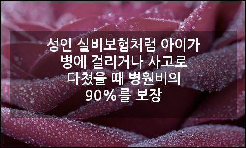 오늘의 이미지