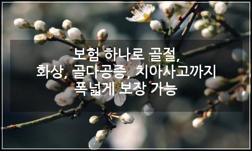 오늘의 이미지