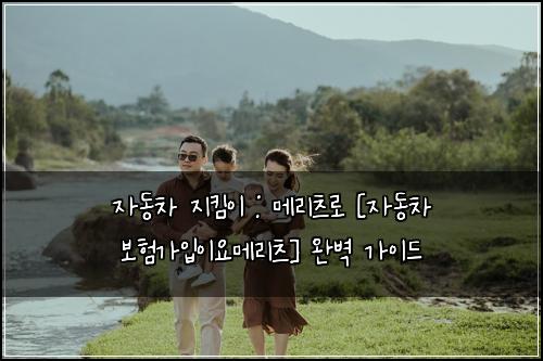 자동차 지킴이 : 메리츠로 [자동차 보험가입이요메리츠] 완벽 가이드
