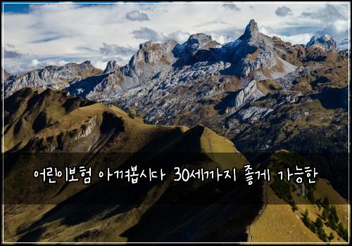 어린이보험 아껴봅시다  30세까지 좋게 가능한