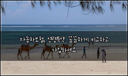 자동차보험, 연령특약 꼼꼼하게 비교하고 가입하세요