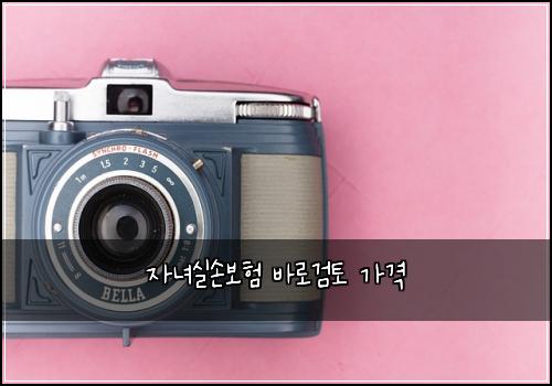 자녀실손보험 바로검토  가격