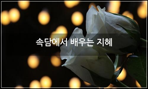 오늘의 이미지