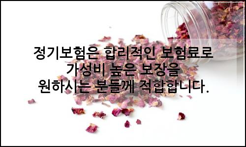 오늘의 이미지