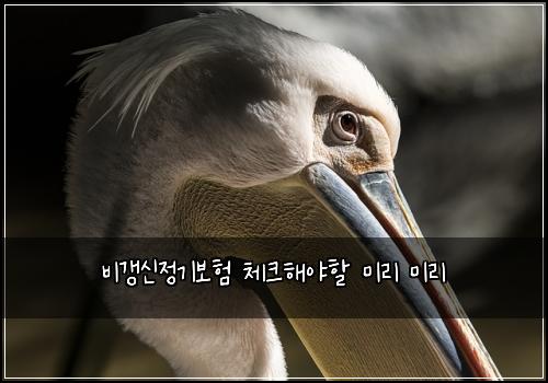 ๋น๊ฐฑ์ ์ ๊ธฐ๋ณดํ ์ฒดํฌํด์ผํ ๋ฏธ๋ฆฌ ๋ฏธ๋ฆฌ