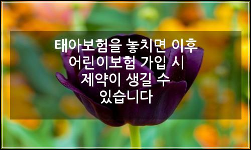 오늘의 이미지