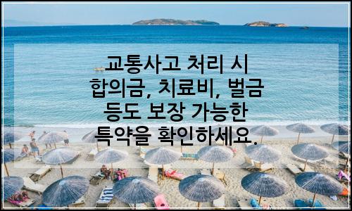 오늘의 이미지