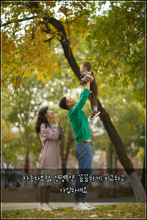 자동차보험, 연령특약 꼼꼼하게 비교하고 가입하세요