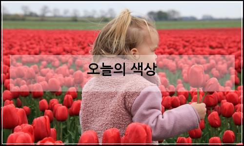 오늘의 이미지