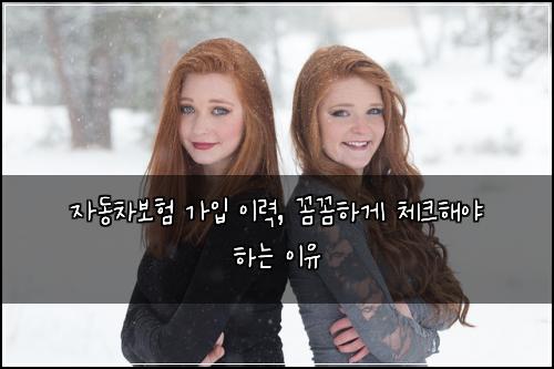 자동차보험 가입 이력, 꼼꼼하게 체크해야 하는 이유