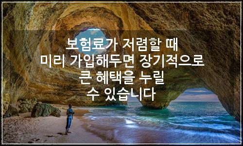 오늘의 이미지