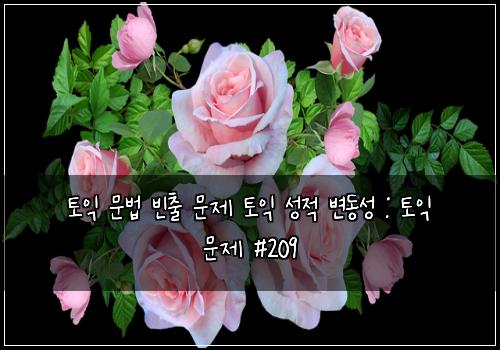 ํ ์ต ๋ฌธ๋ฒ ๋น์ถ ๋ฌธ์ ํ ์ต ์ฑ์ ๋ณ๋์ฑ : ํ ์ต ๋ฌธ์ #209